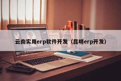 云南實用ERP軟件開發(fā) 聚焦昆明本地化需求，推動企業(yè)數字化轉型